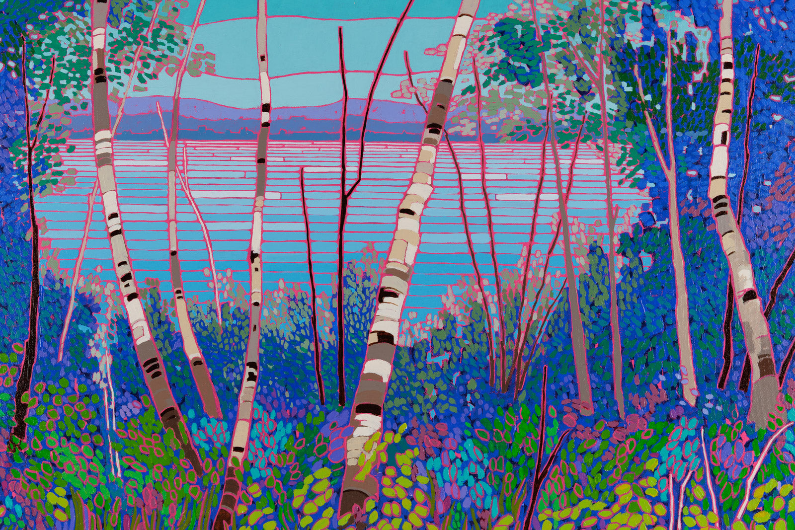 A Northern Lake