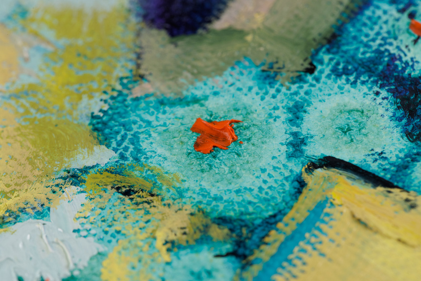 ReWilding: Building a Resilient Community