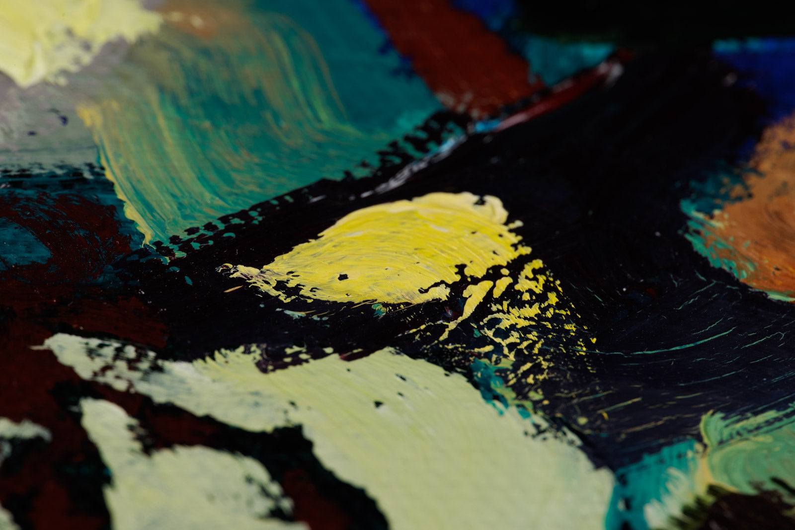 ReWilding: Building a Resilient Community