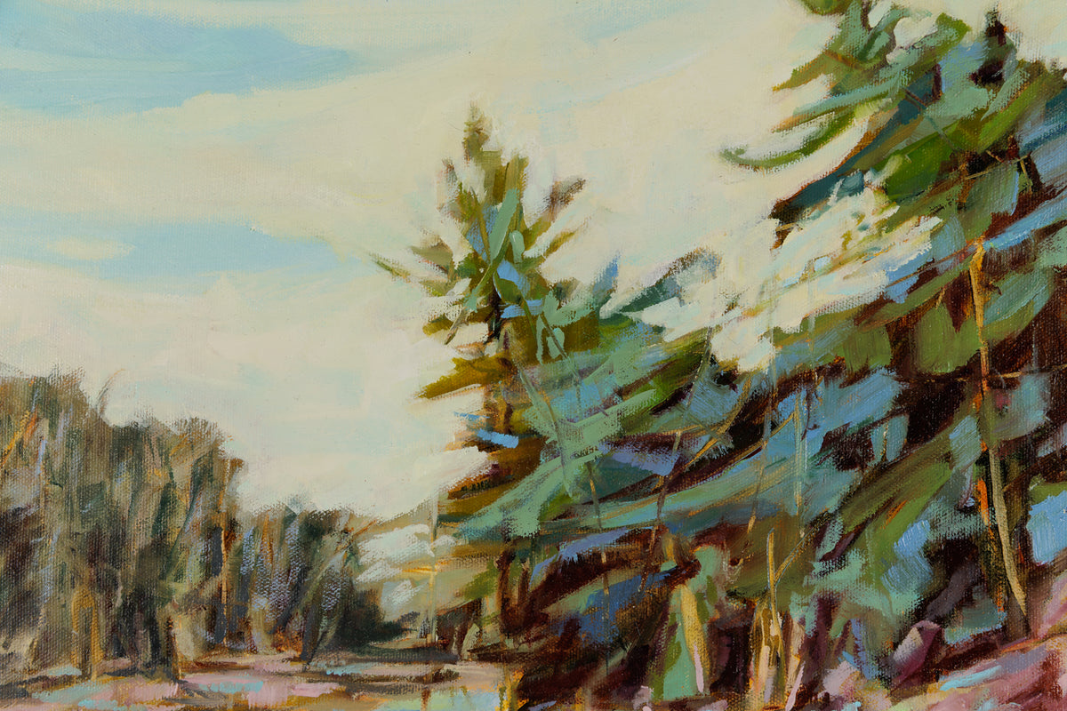 McGregor Lake I