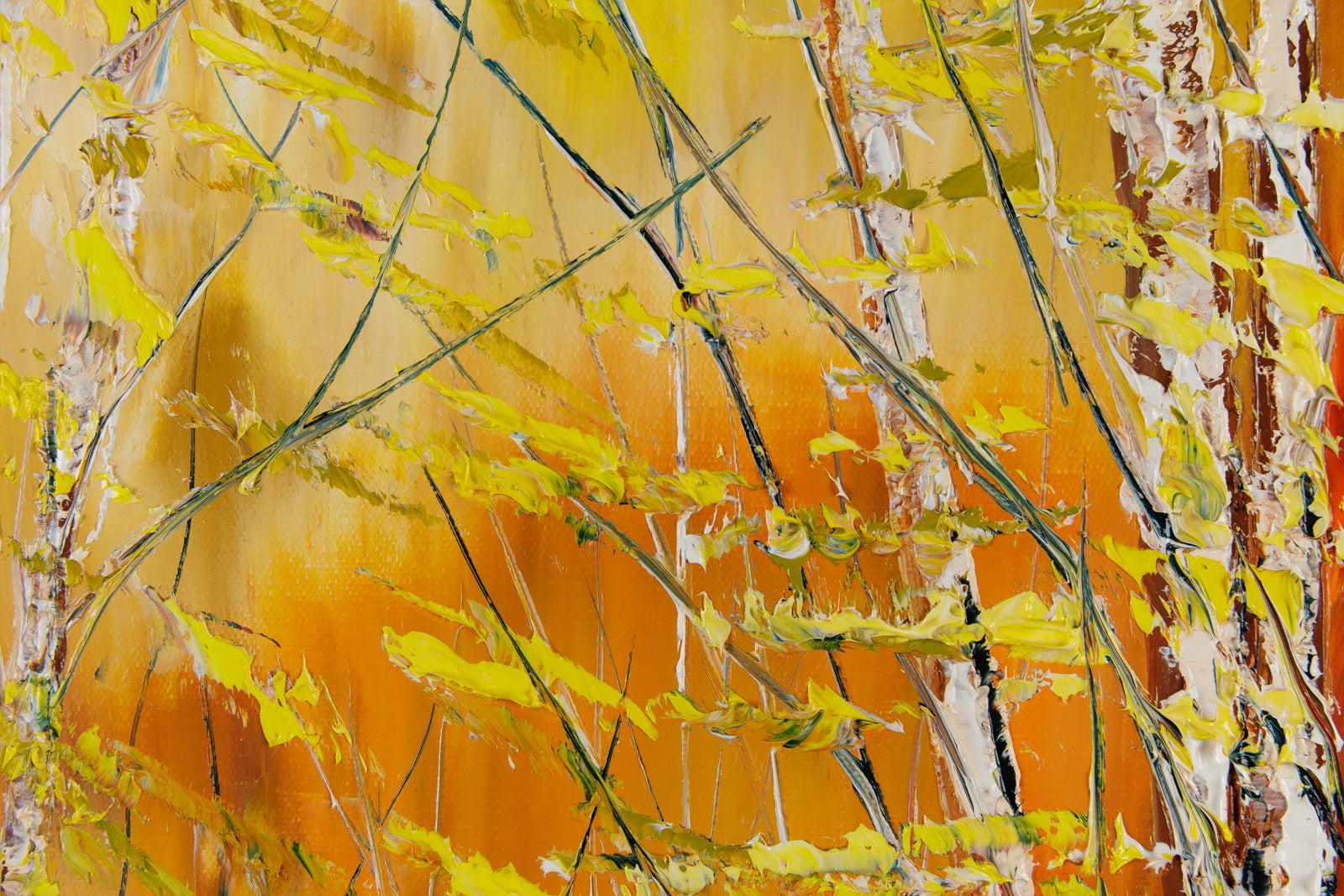 Silence Nature
