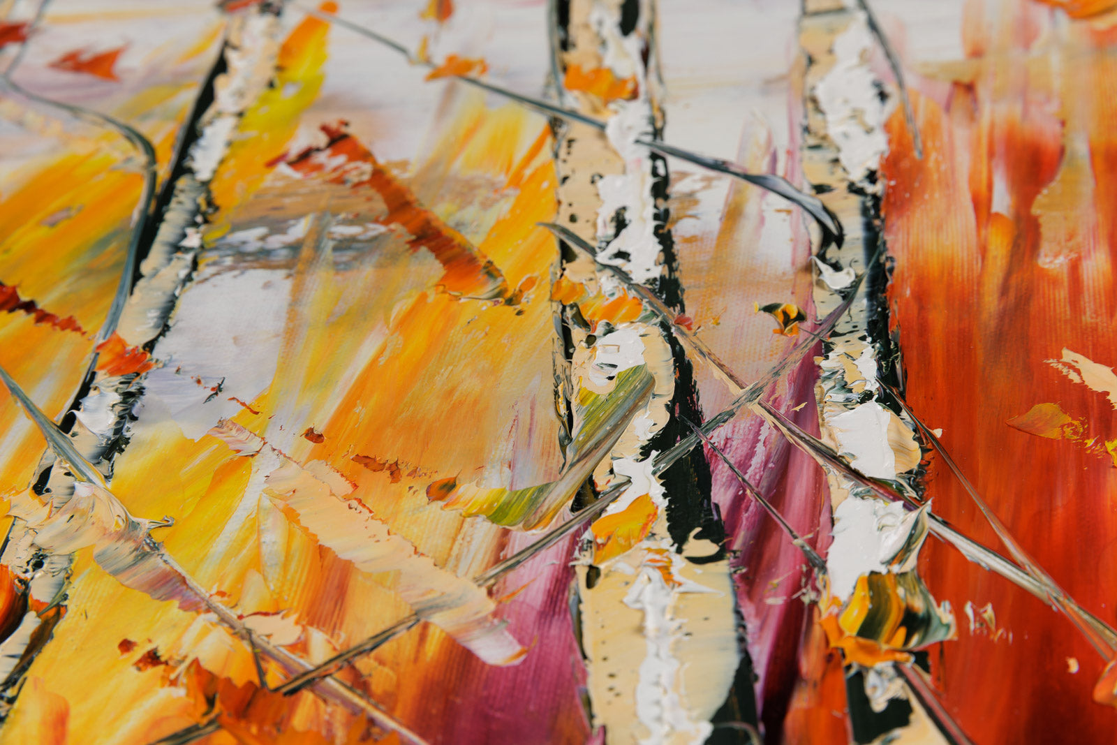 Immersion Dans Les Couleurs