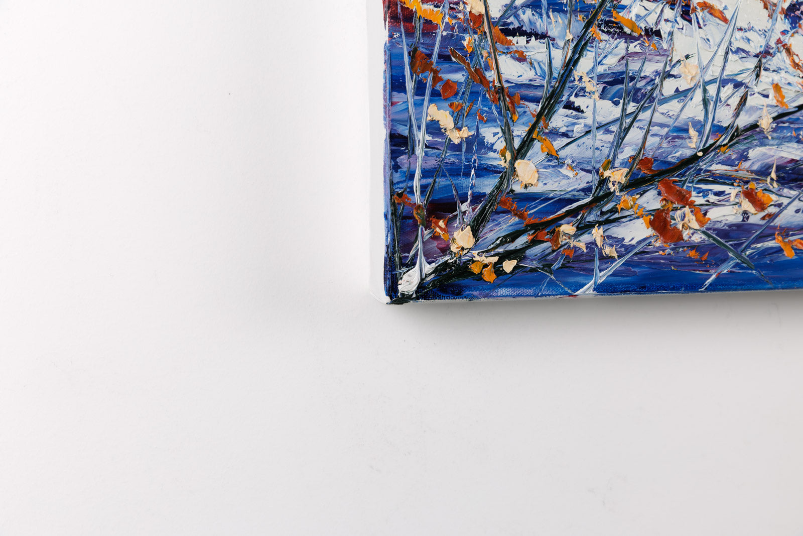 Immersion Dans Les Couleurs