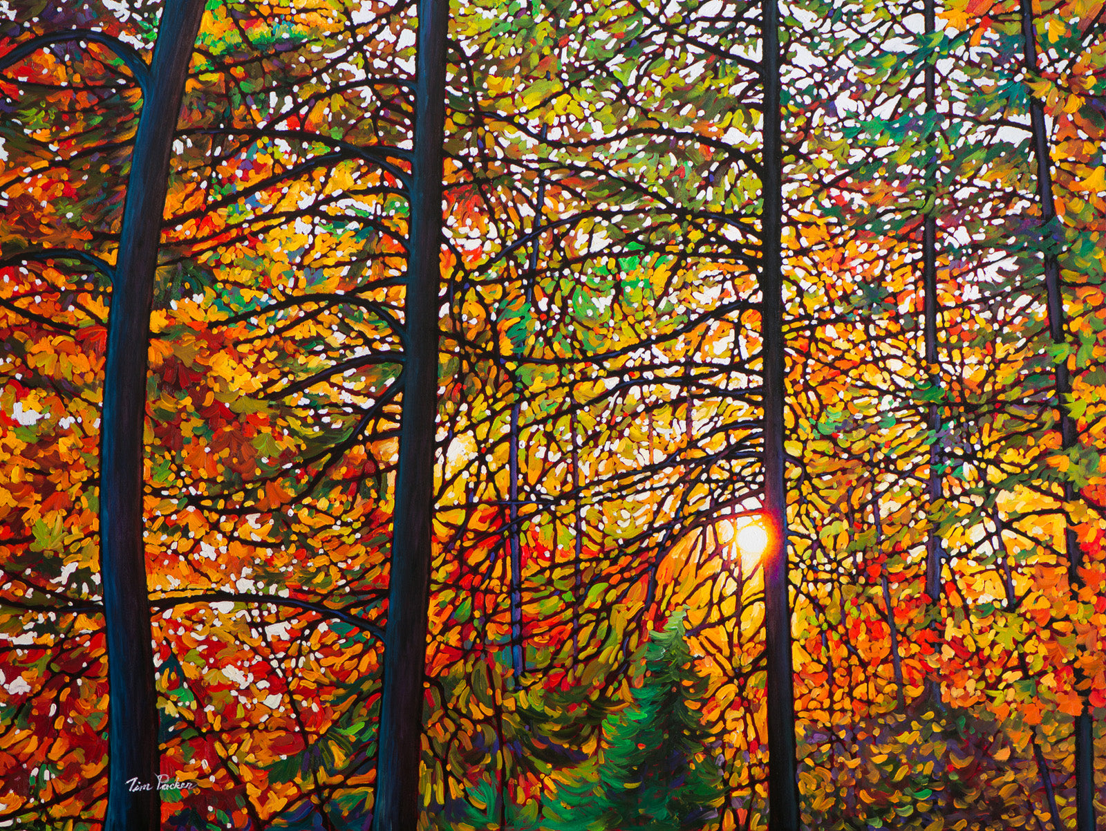 Landscape “Afternoon Light, Algoma Forest” by Tim Packer – giclee on canvas.