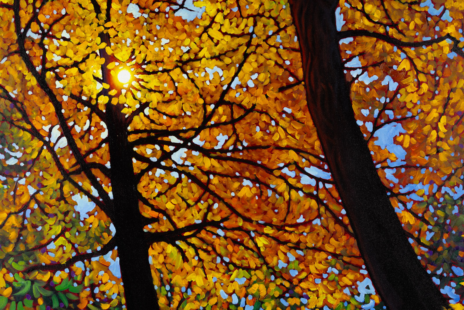 Autumn Gold, Seaton Trail