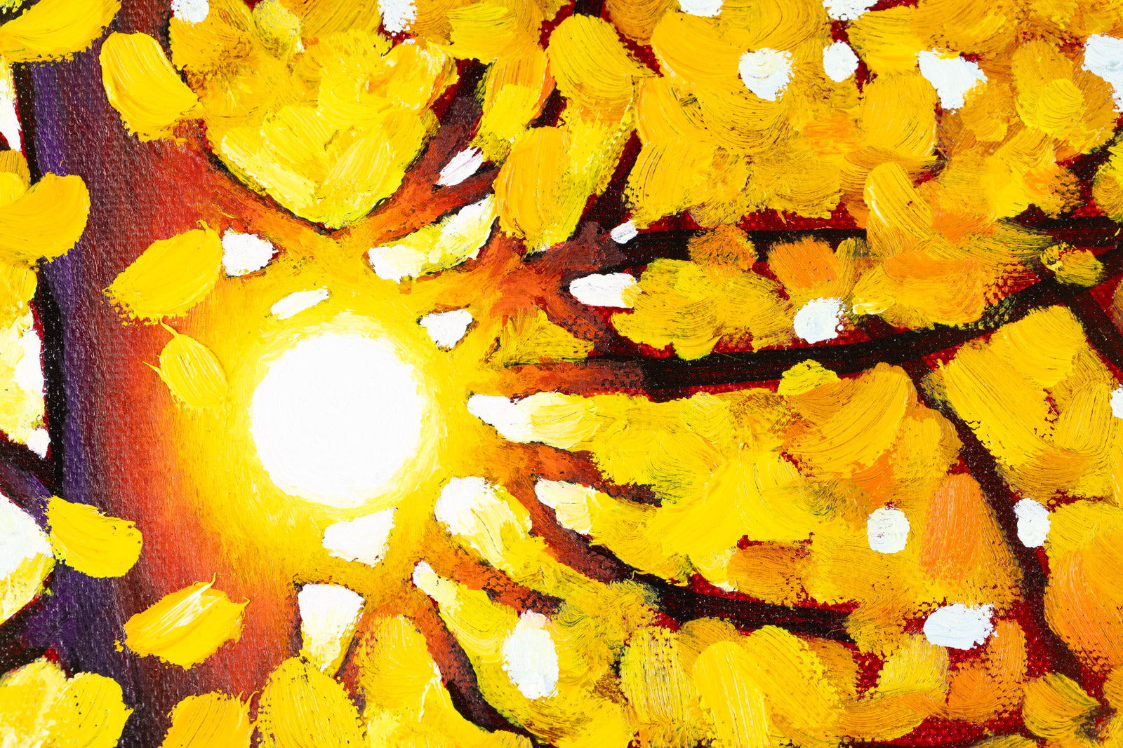 Autumn Gold, Seaton Trail