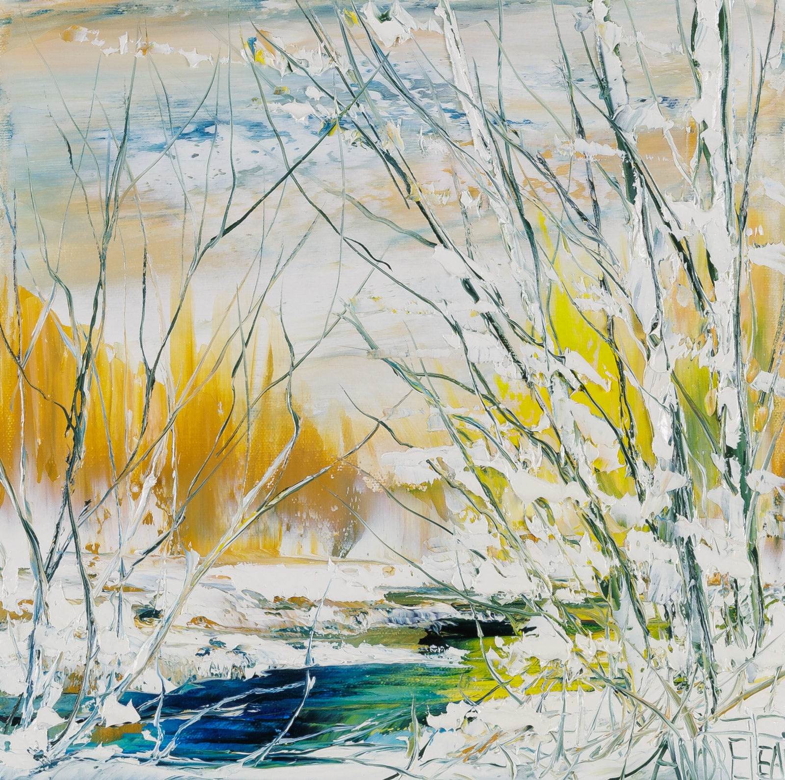 On Calme Bien Sauvage