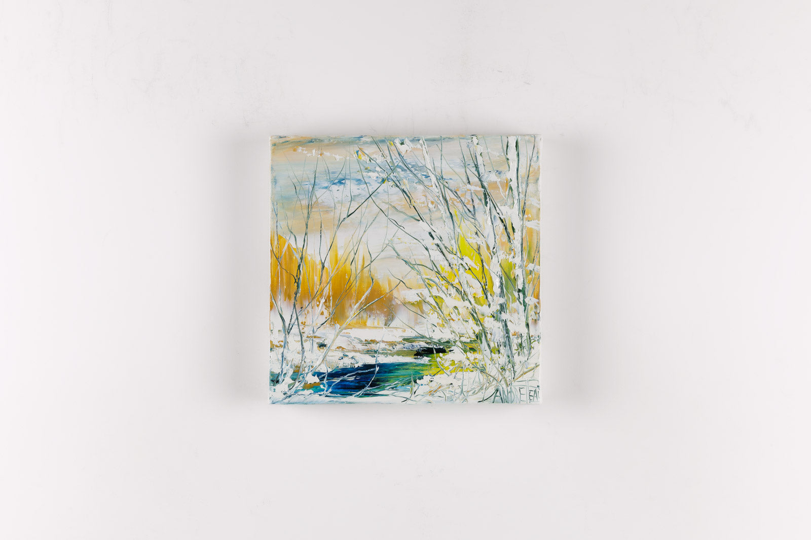 On Calme Bien Sauvage