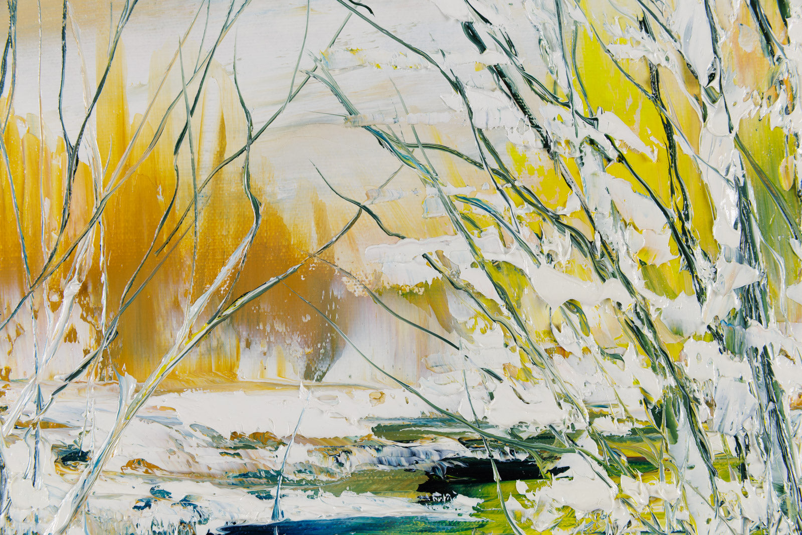 On Calme Bien Sauvage