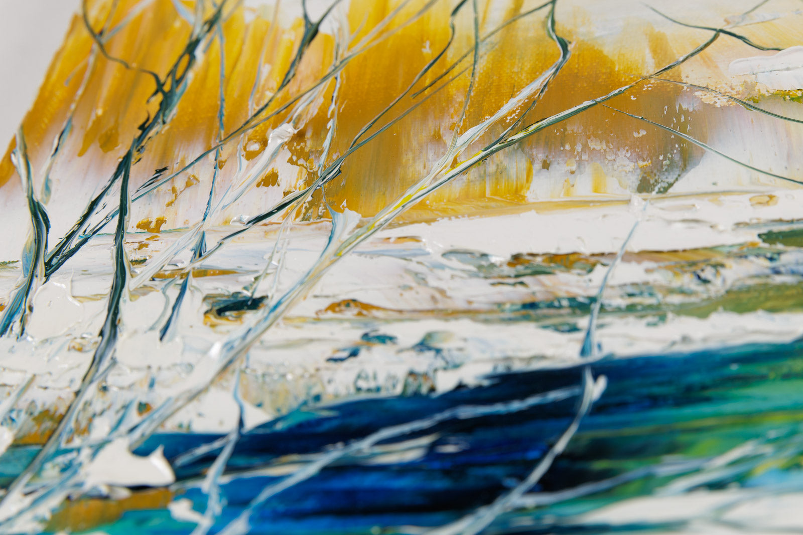 On Calme Bien Sauvage