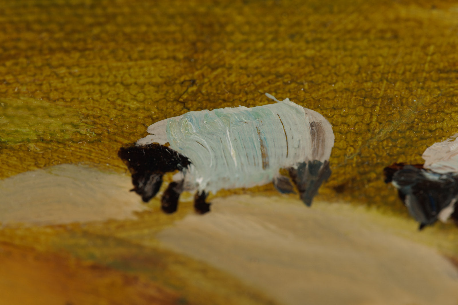 A Perte De Vue
