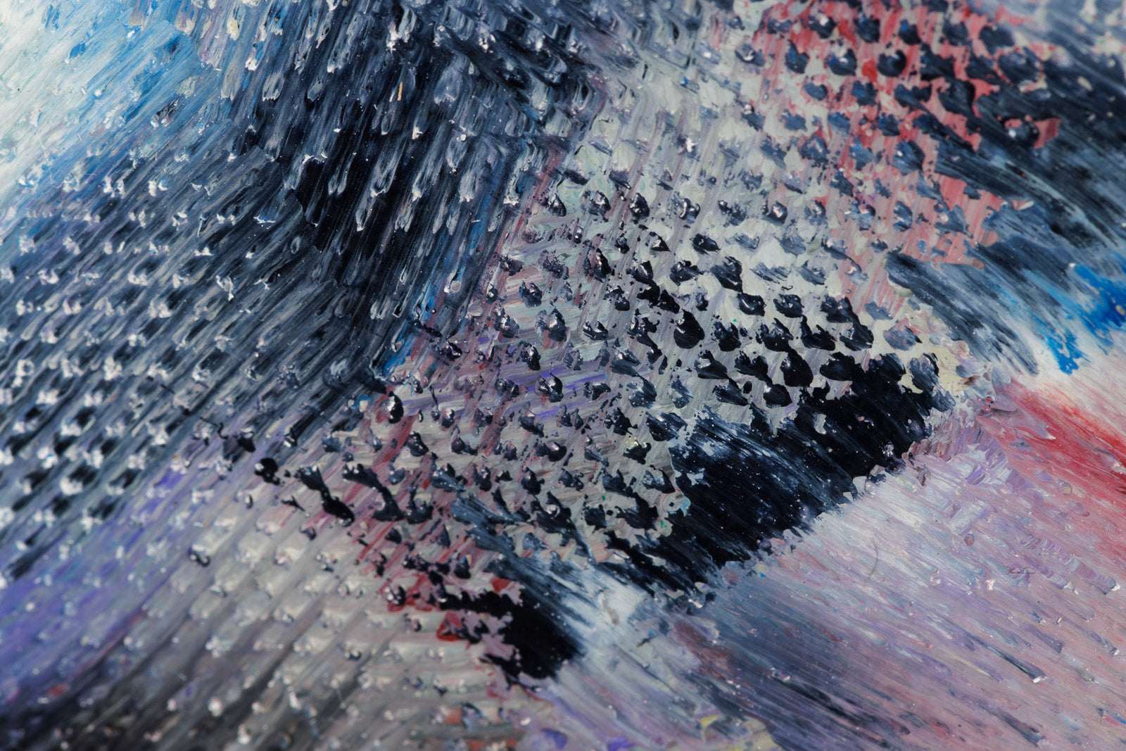 Where The Light Settles