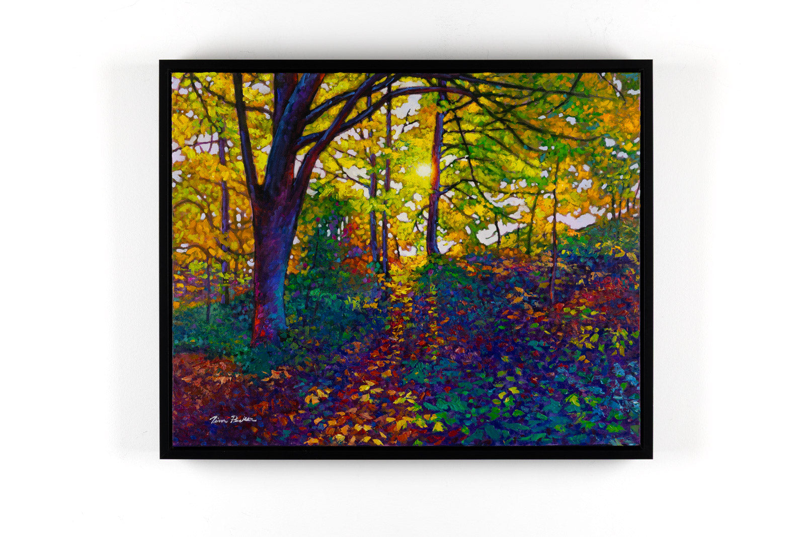 Forest Light