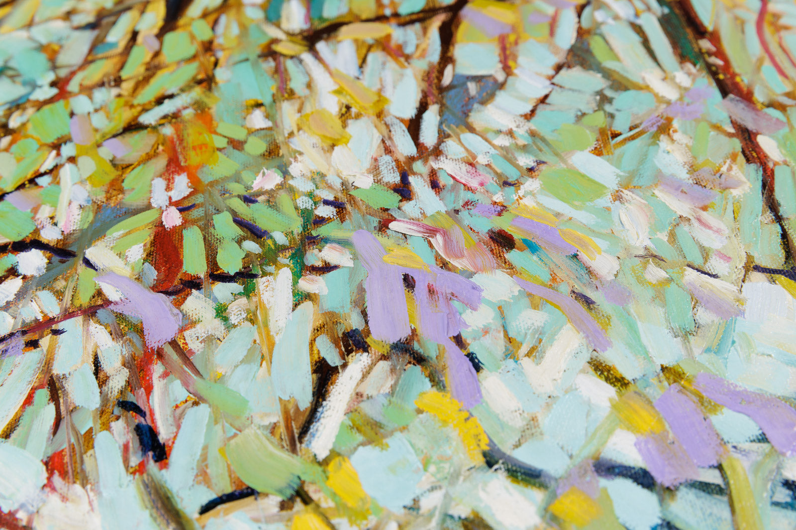 Opals Don't Glitter