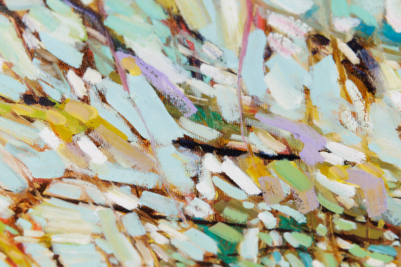 Opals Don't Glitter