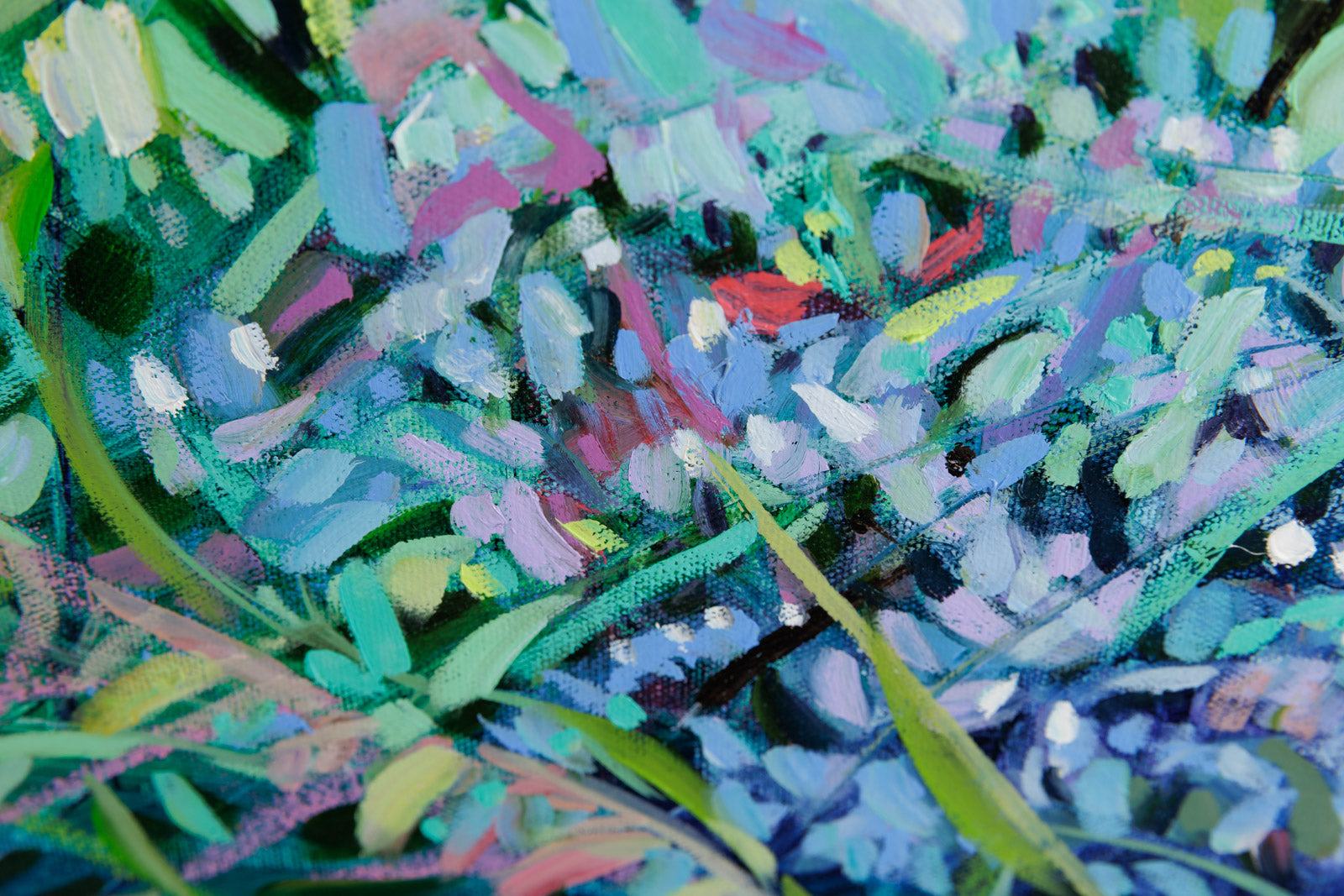 The Colour Of Music