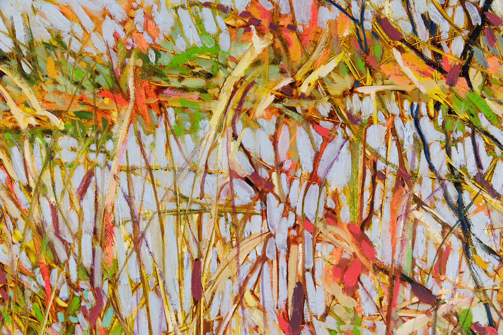 When A Grey Day Isn't