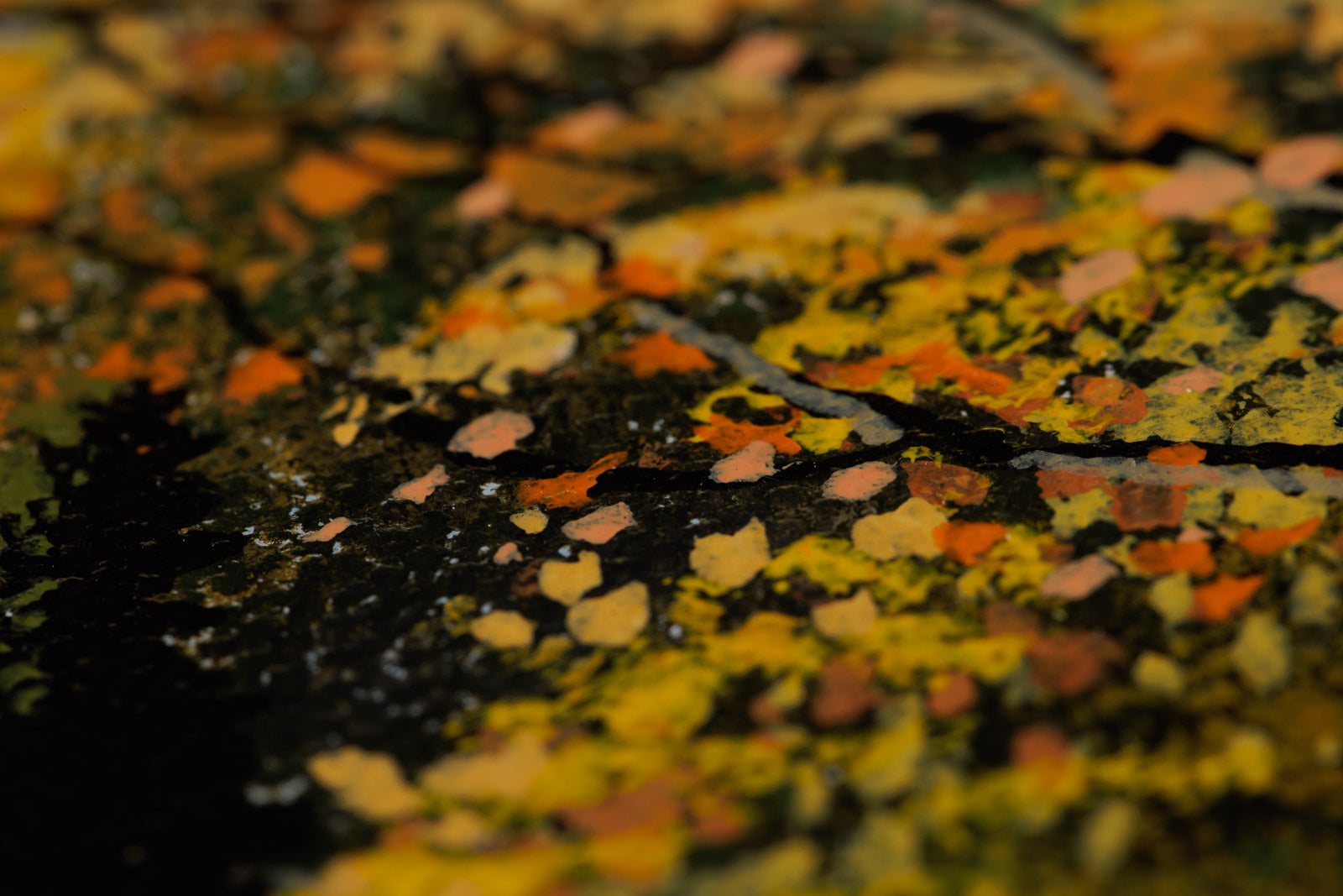 The Old Country Church