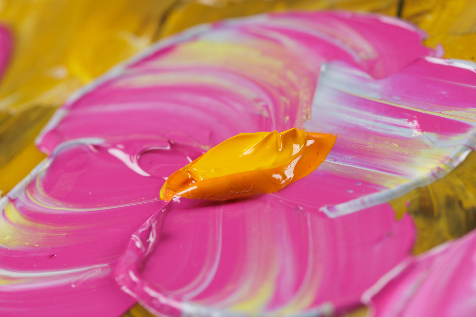 Dancing With The Light