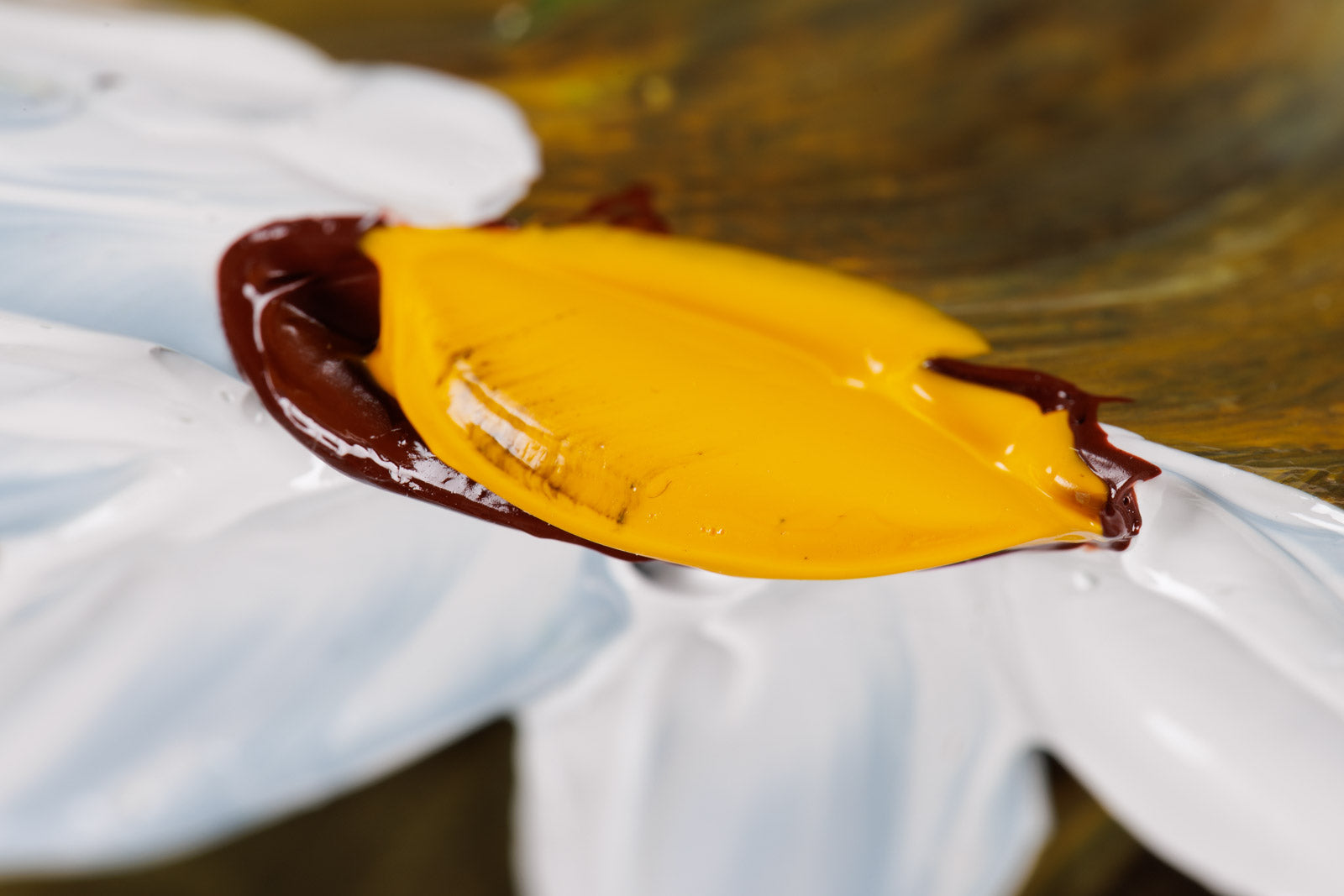 Dancing With The Light