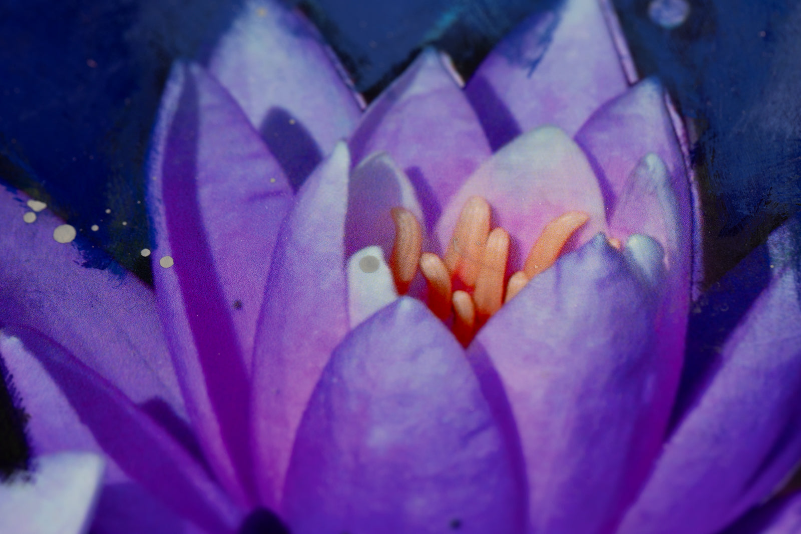 Stev'nn Hall, "Osiris," detail view, mixed media on panel