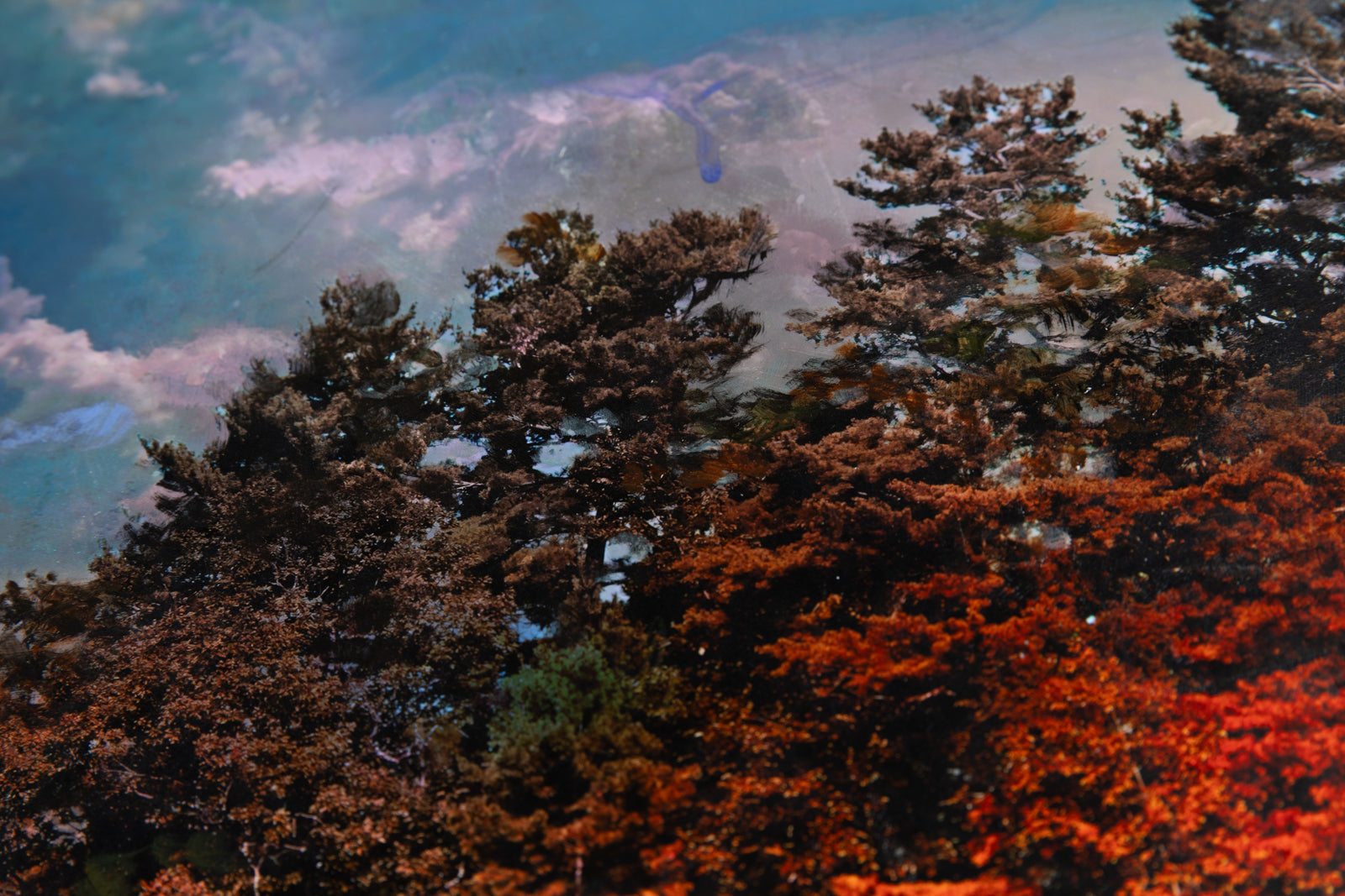 Stev'nn Hall, "At Close Range," detail view, mixed media on panel