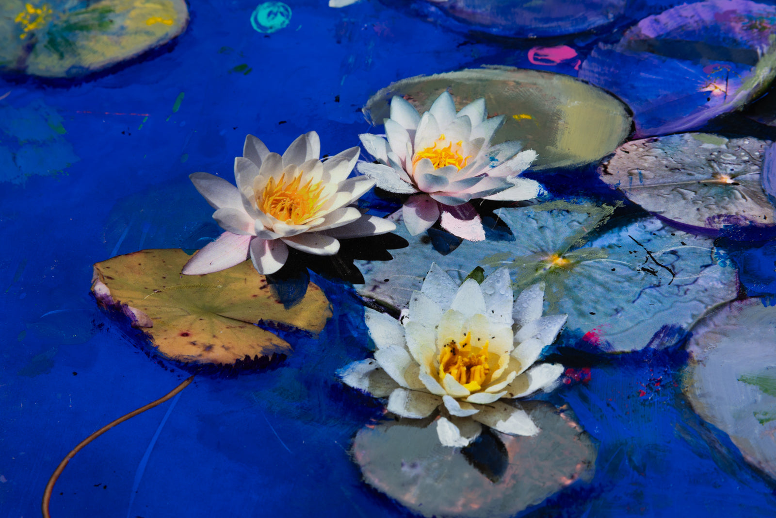 Stev'nn Hall, "Epiphany No. 3," detail view, mixed media on panel