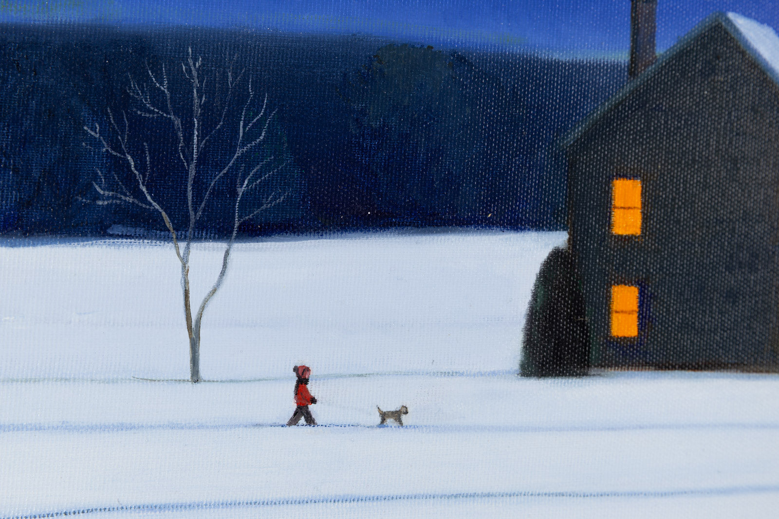 Canadian Bright Nights