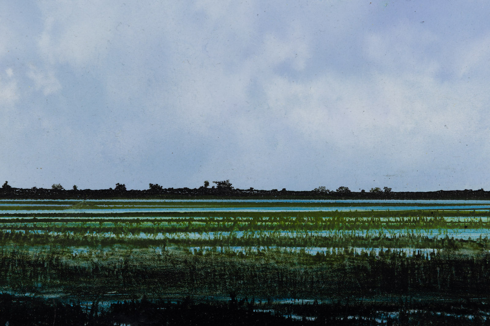 Wetland 828