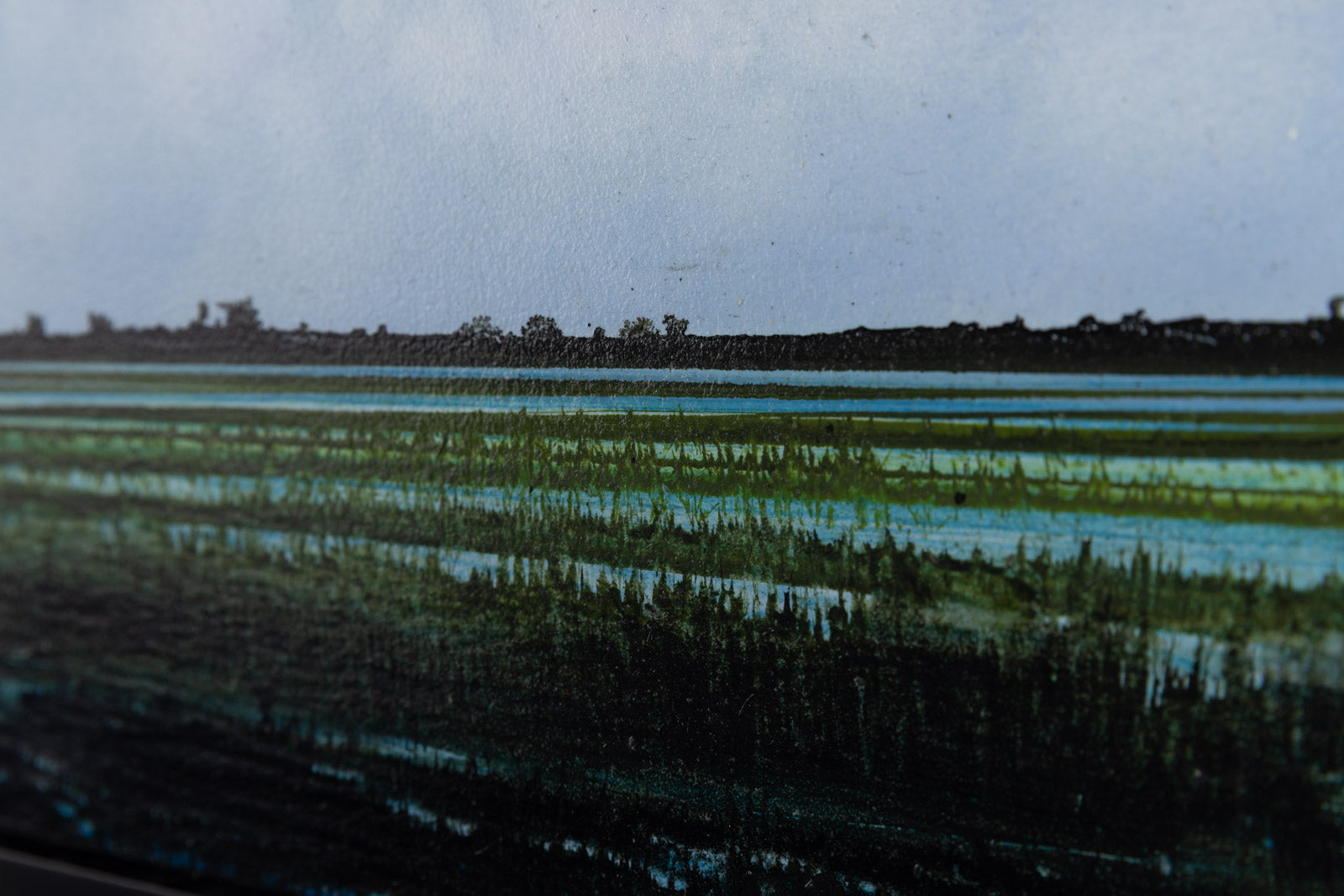 Wetland 828