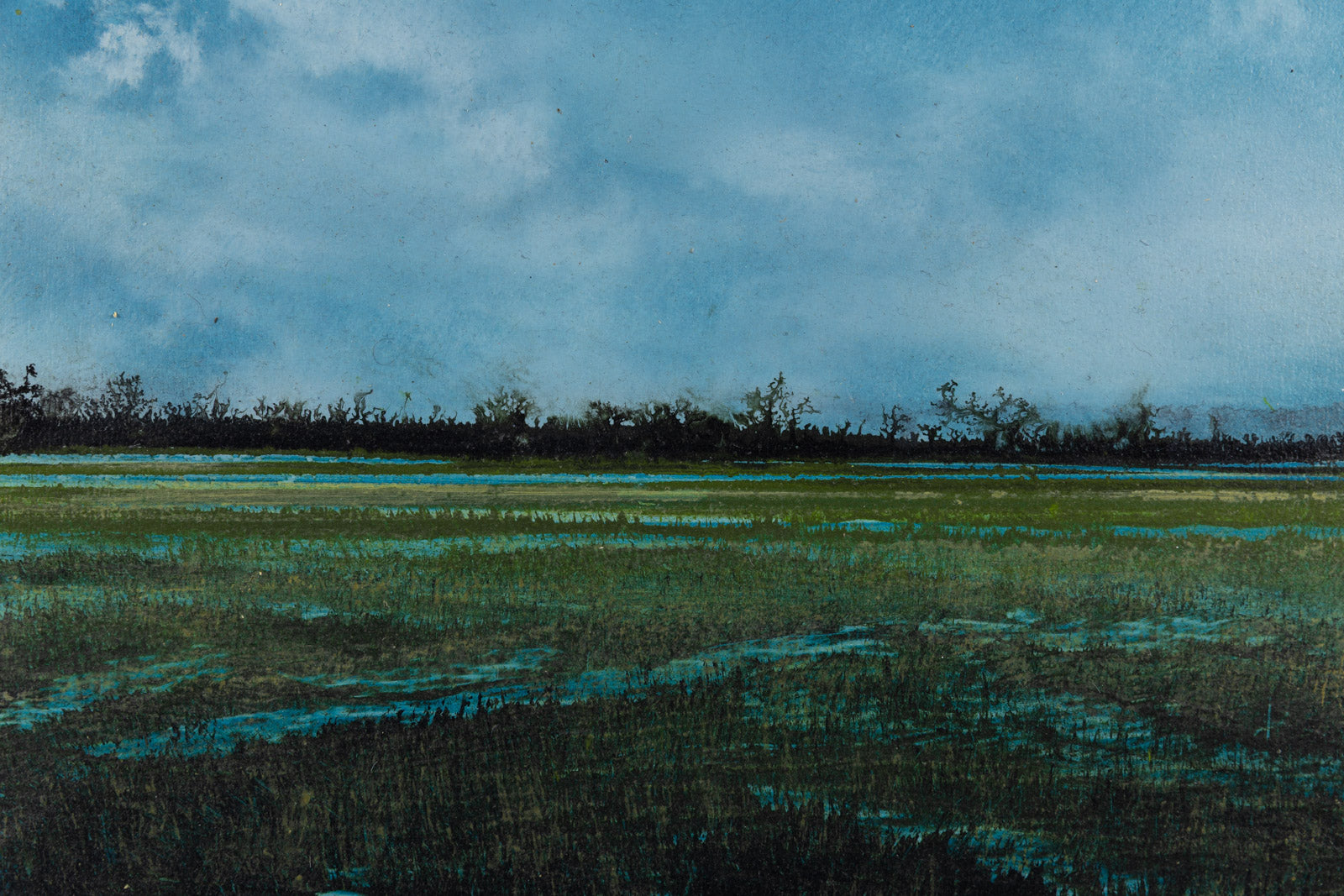 Wetland 941