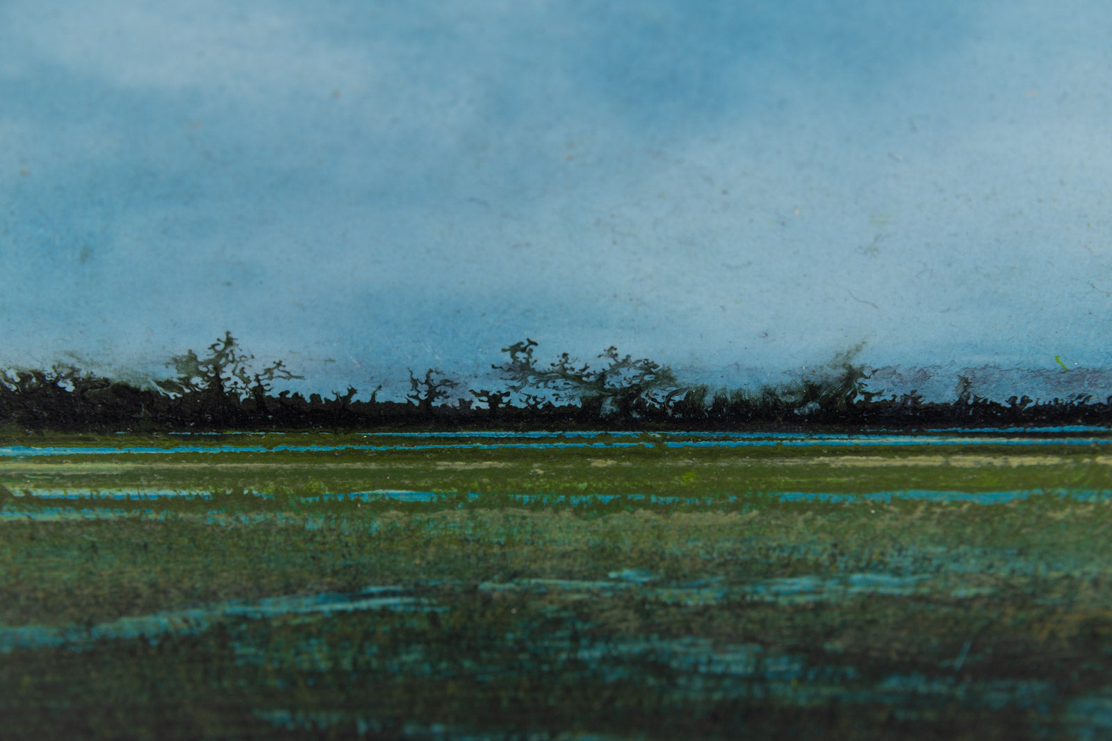 Wetland 941