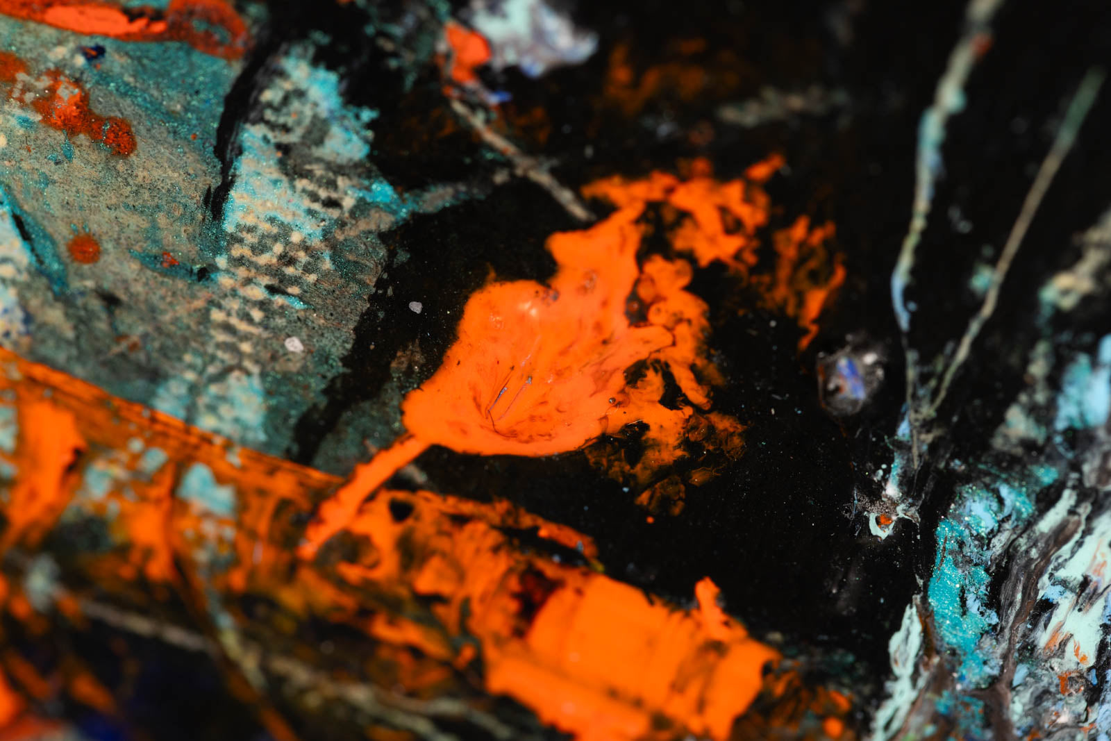 Memoires D'Une Voyageuse (Portrait d'Alexandra David-Neel)