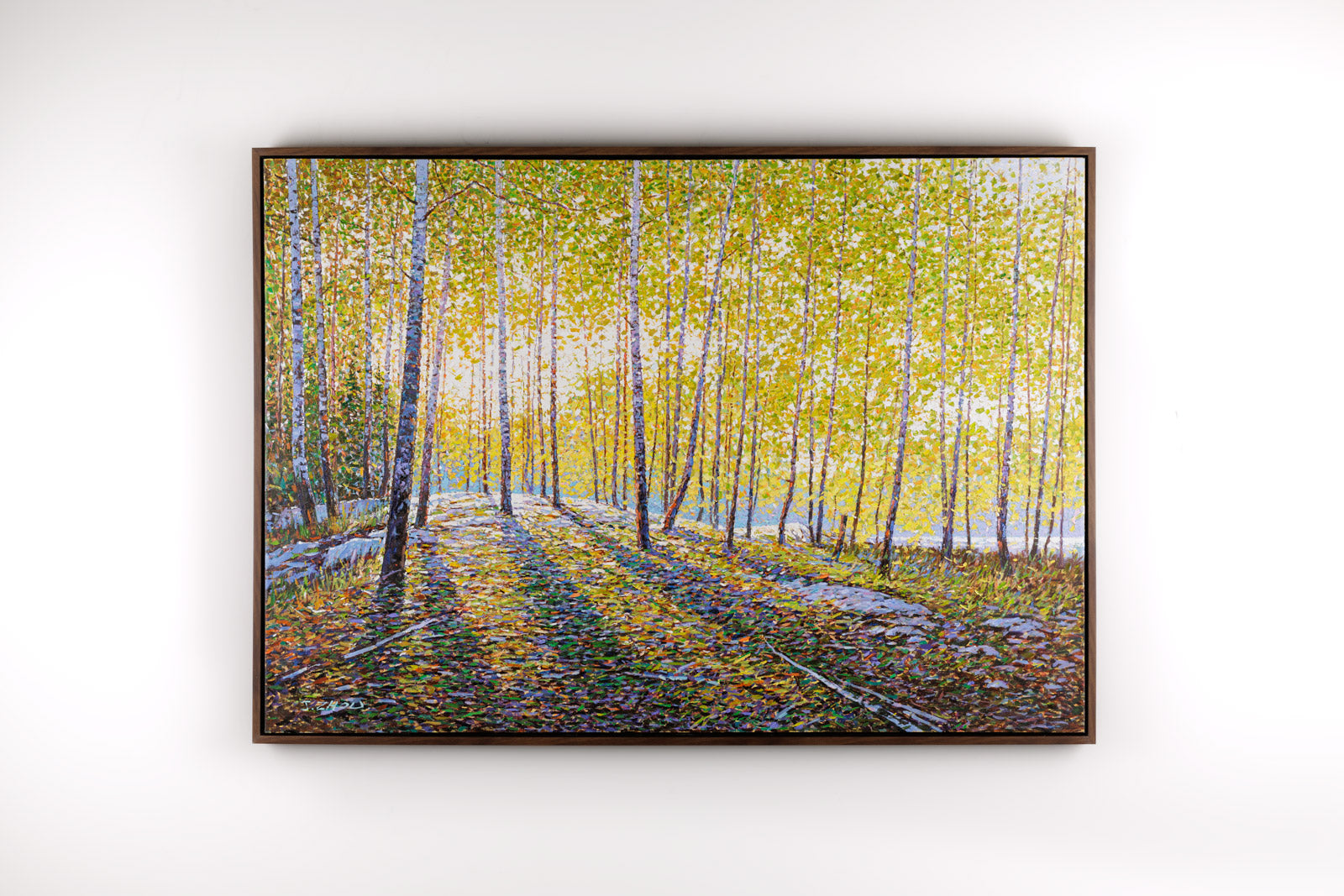 Early Spring Sunshine