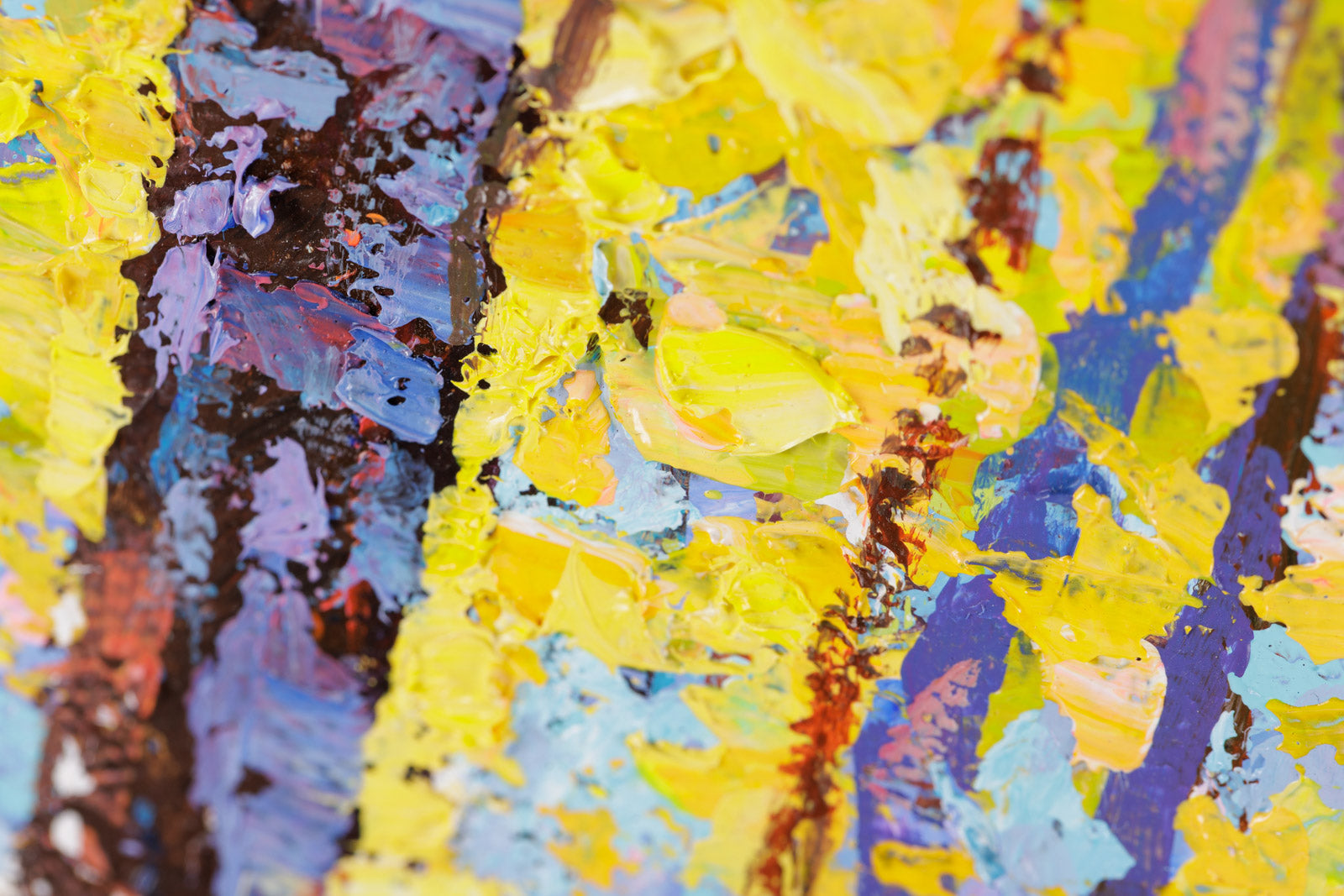 Early Spring Sunshine