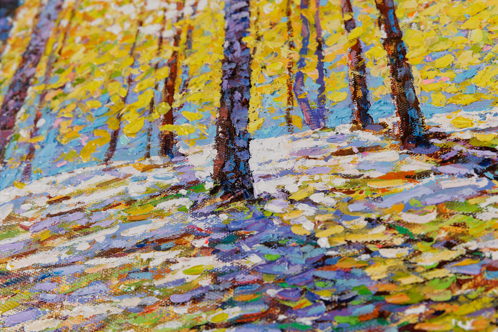 Early Spring Sunshine