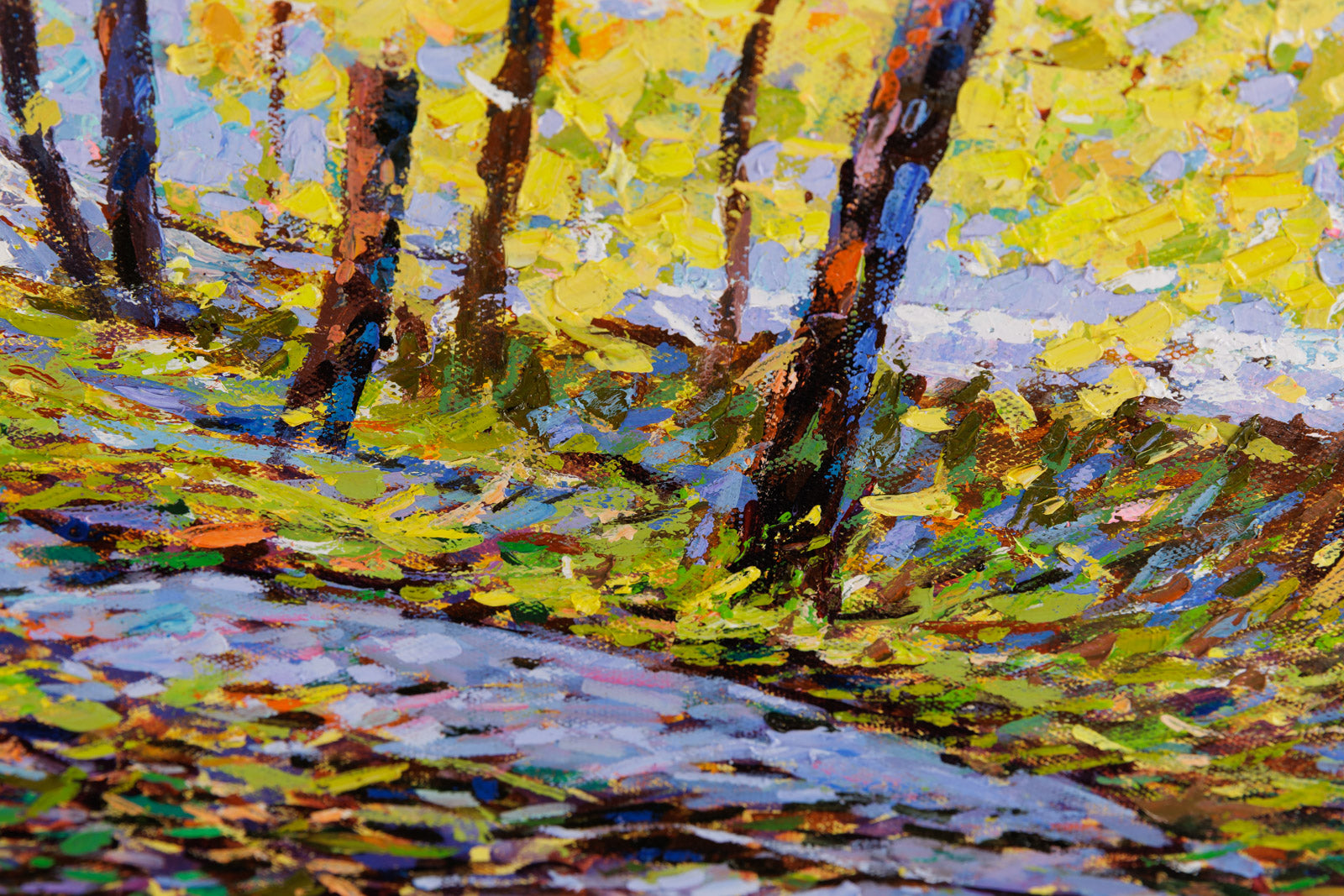 Early Spring Sunshine