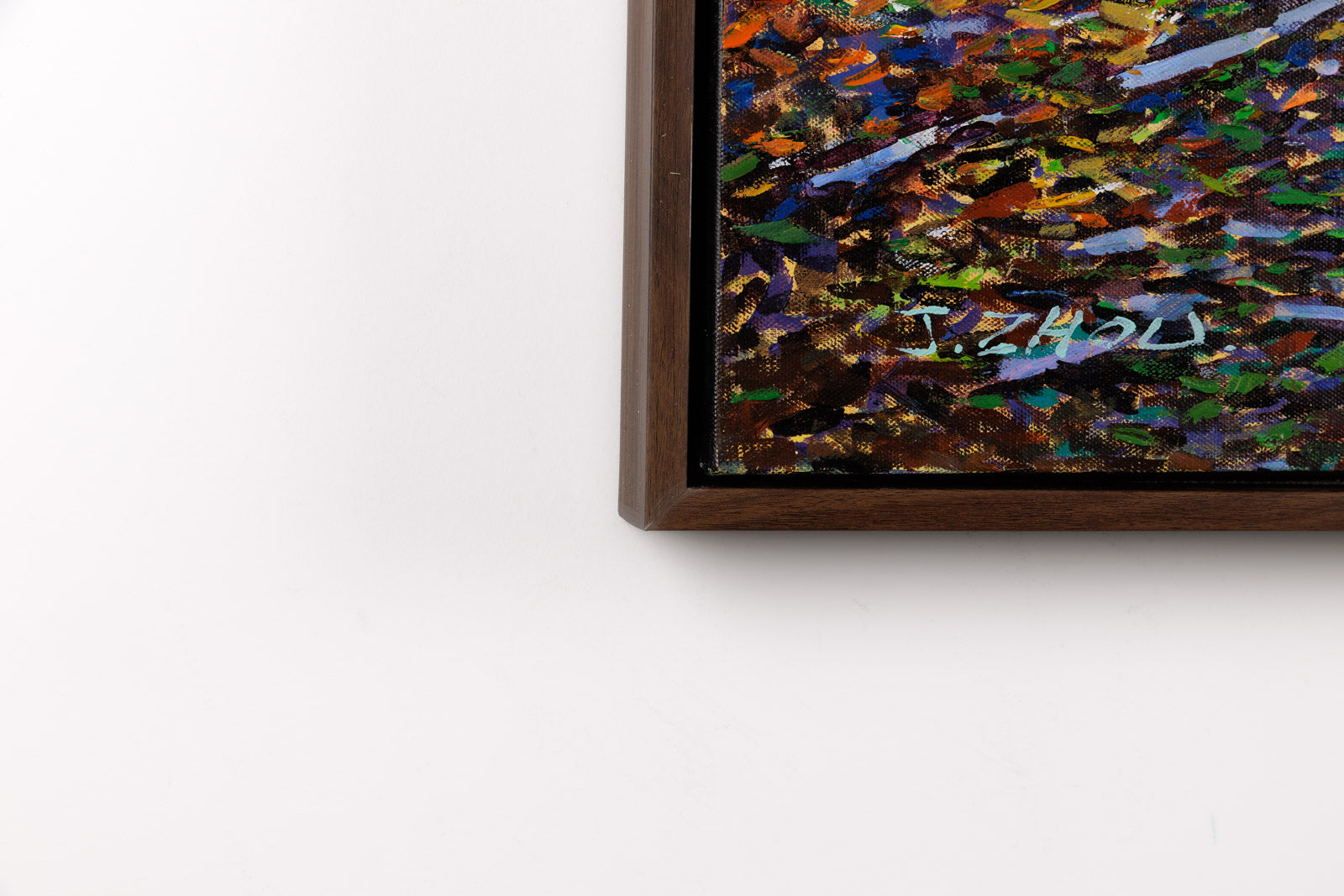 Early Spring Sunshine