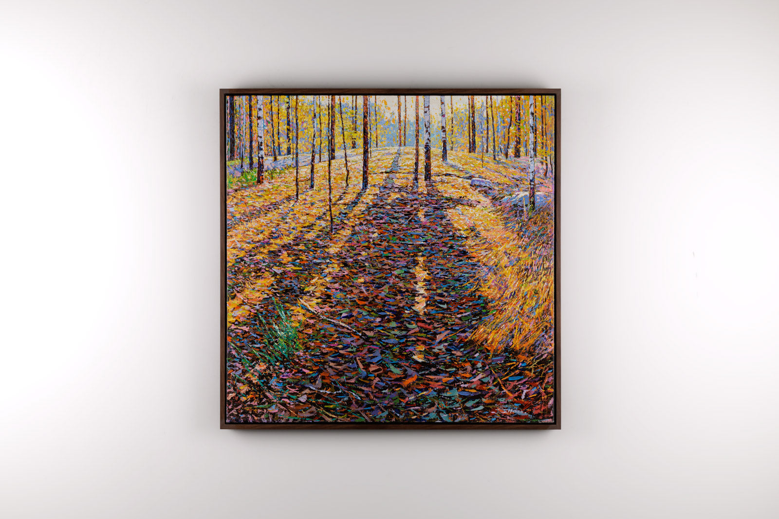 Beauty In The Sunshine