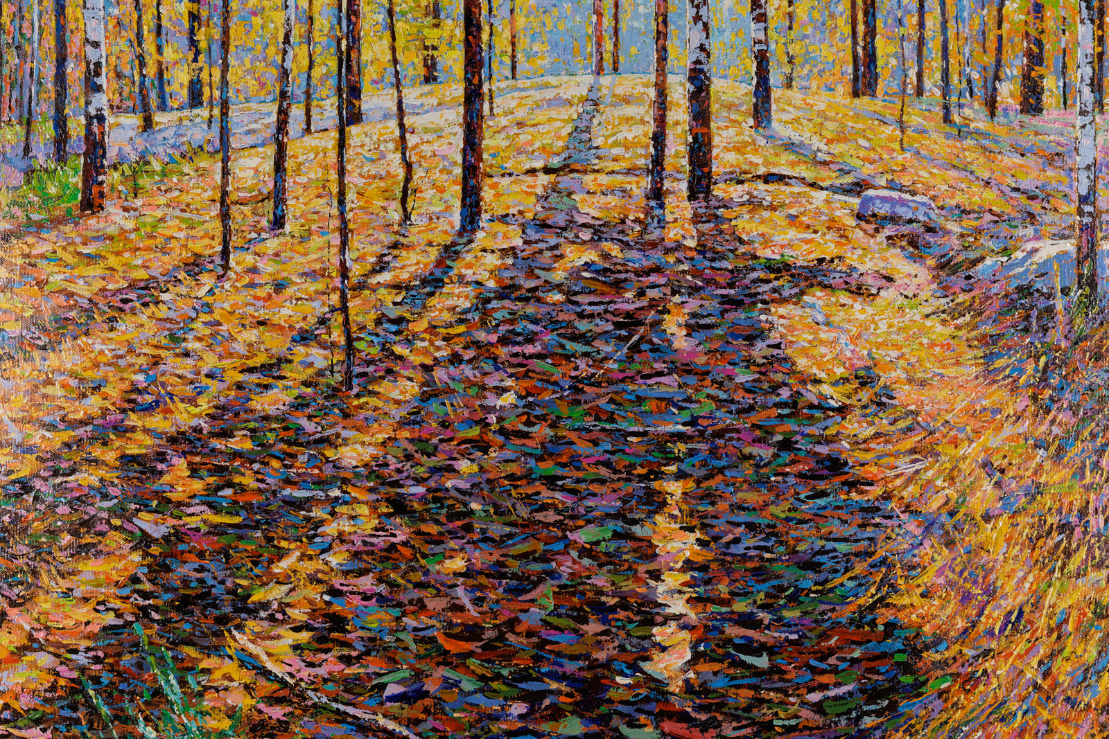 Beauty In The Sunshine