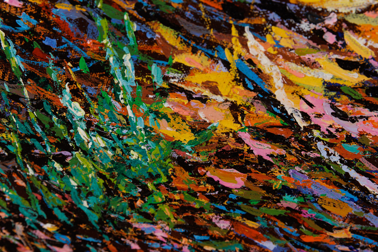 Beauty In The Sunshine