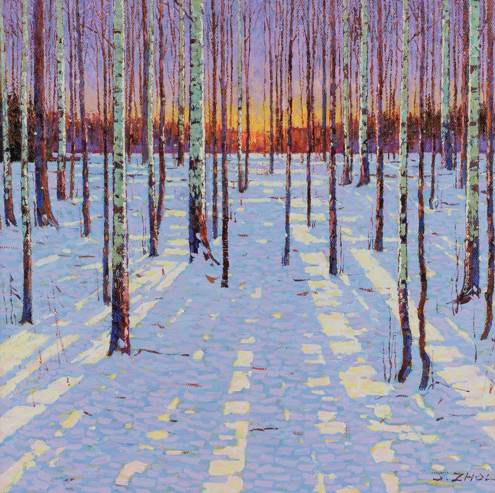 Birch Forest At Dusk