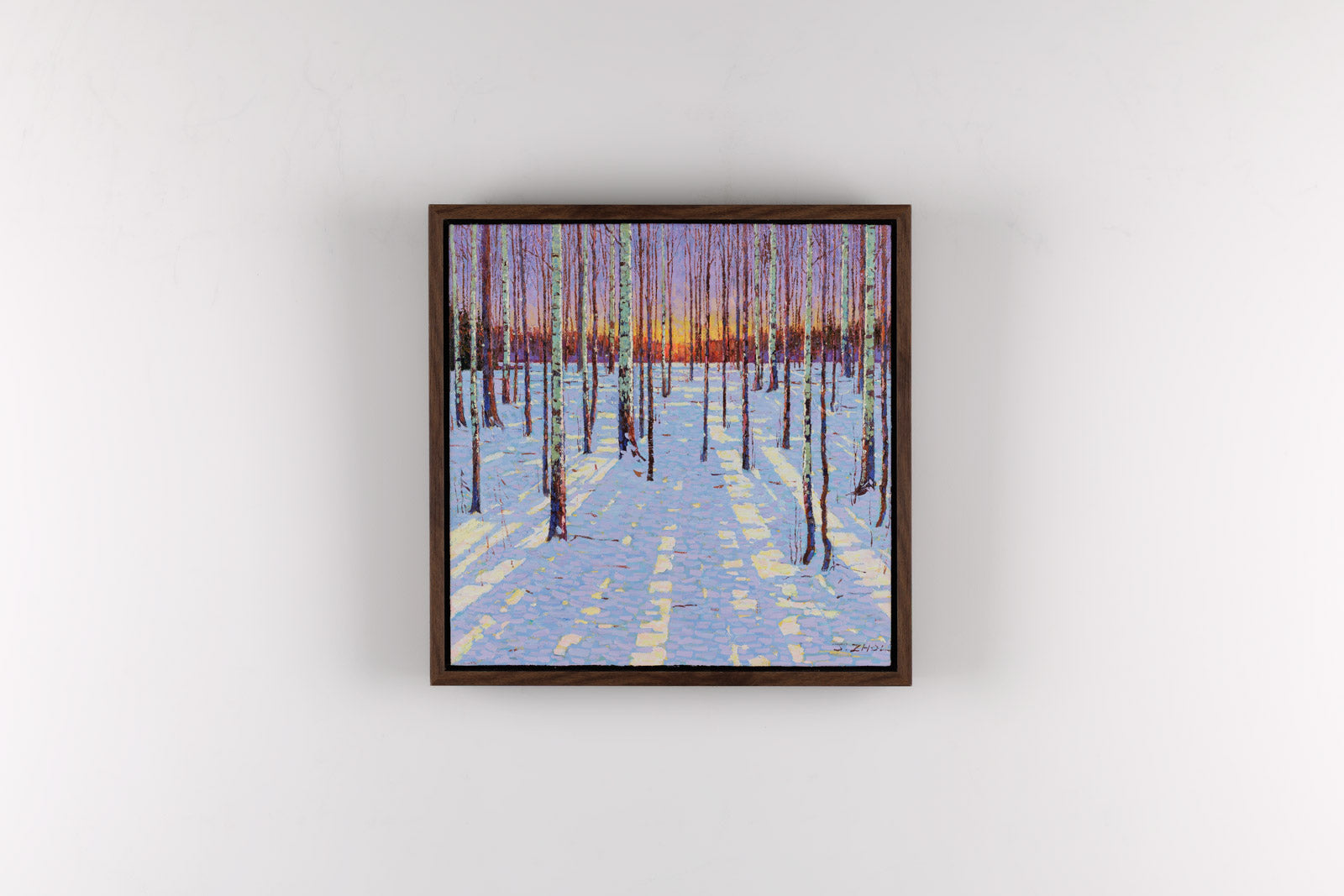 Birch Forest At Dusk