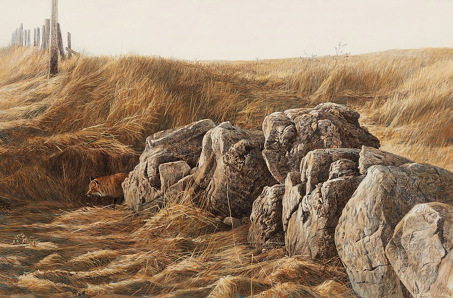 Robert Bateman