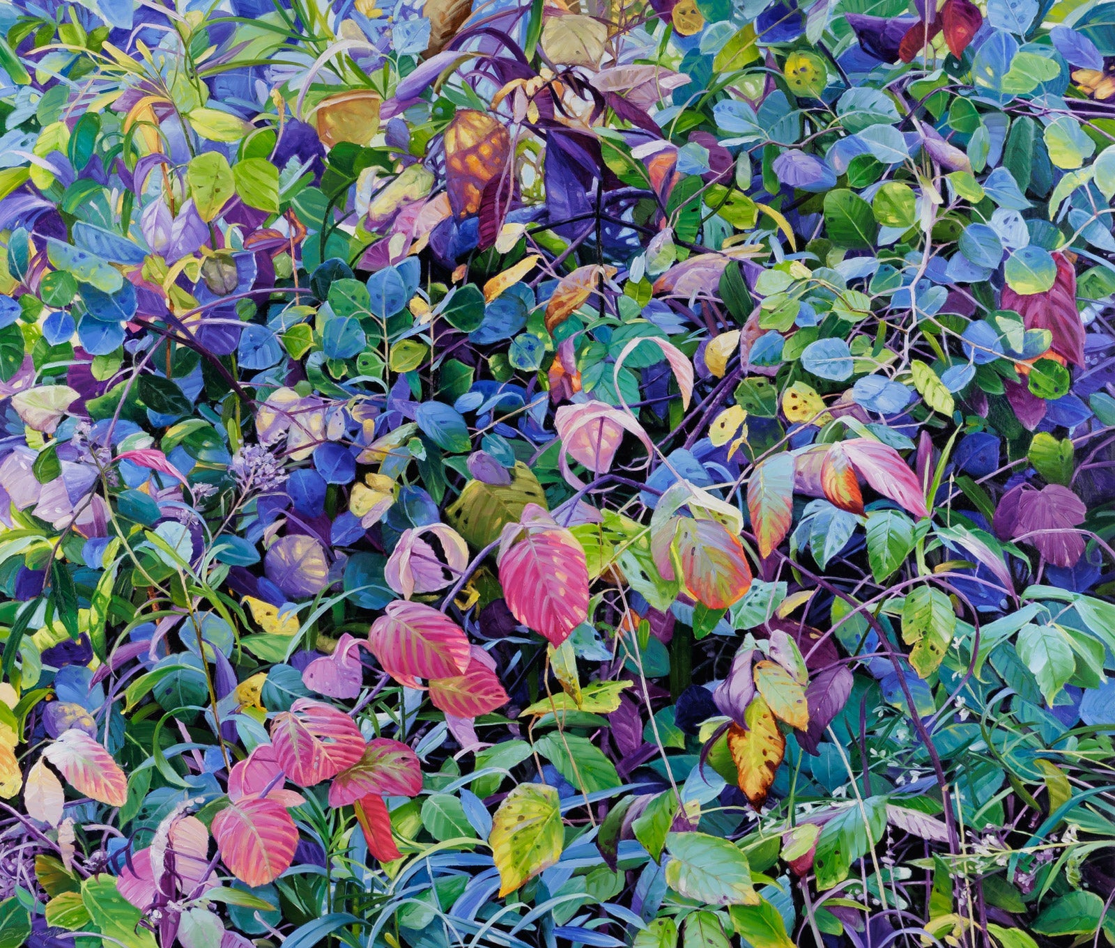 Wendy Bermingham