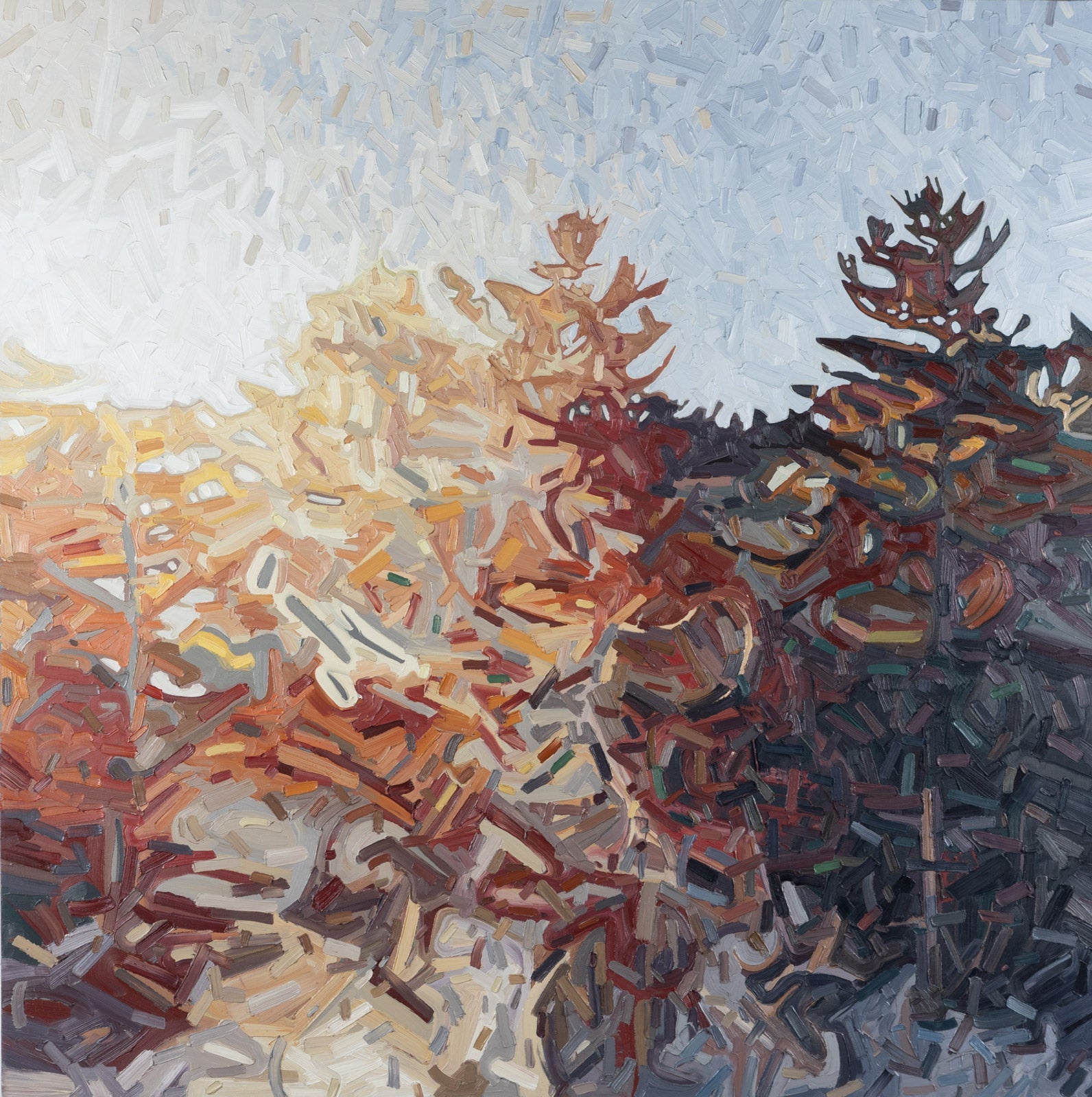 David Grieve