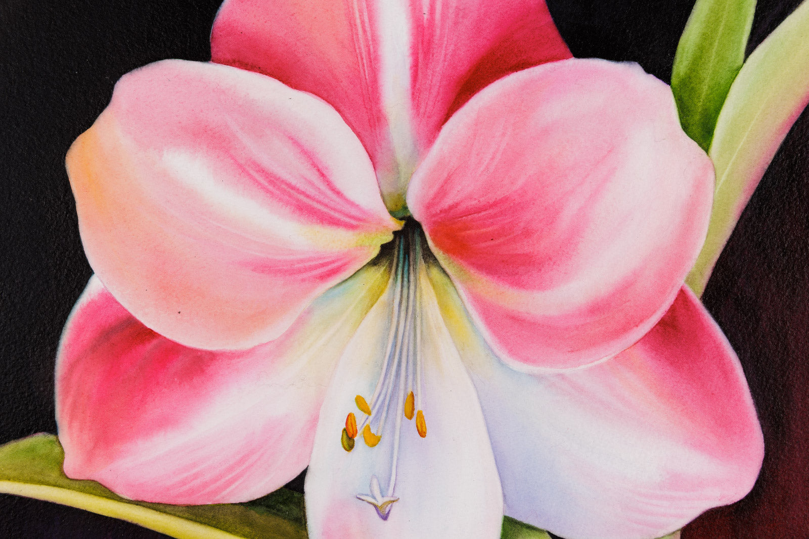 Watercolour