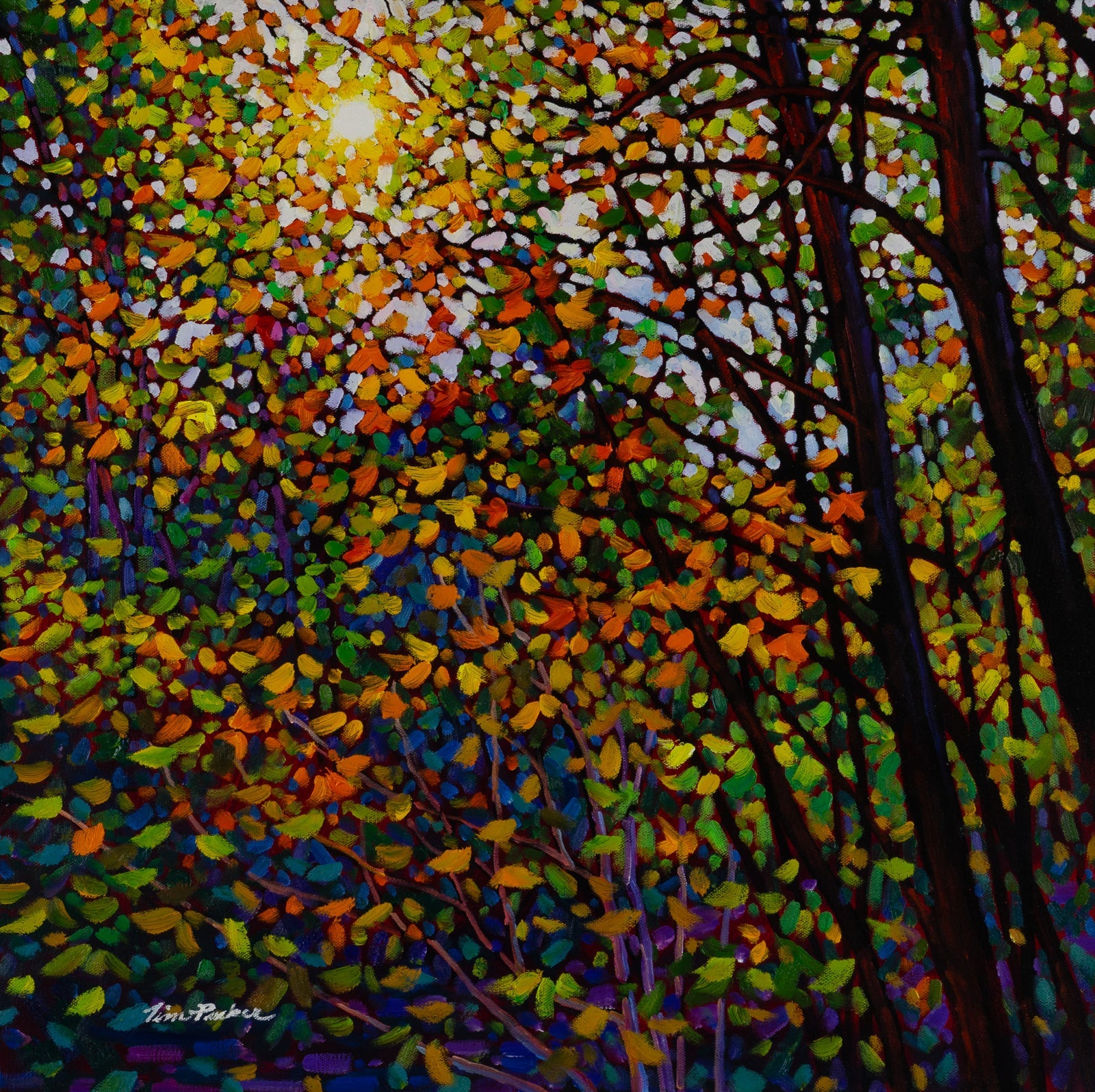 Tim Packer