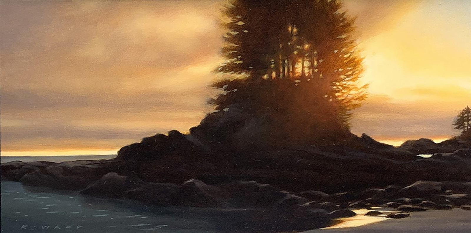 Ray Ward