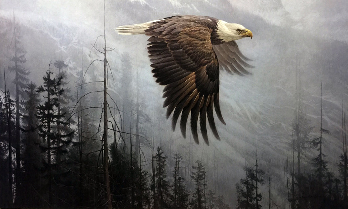 Birds “Majesty On The Wing” by Robert Bateman – offset lithograph.